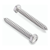 Hex Head Self Tapping Screws