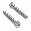 Socket Cheese Head Self Tapping Screws