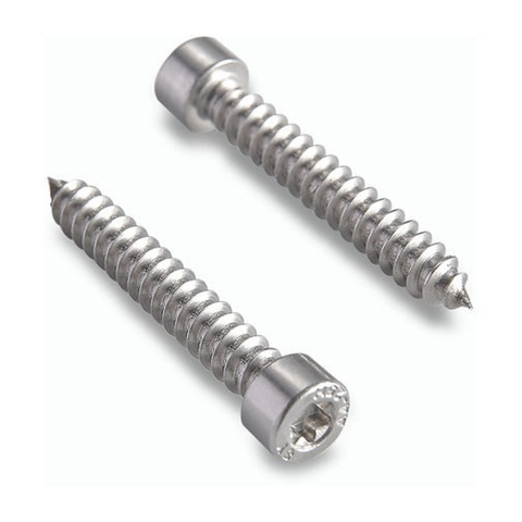 Socket Cheese Head Self Tapping Screws