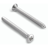 Raised Flat Head Self Tapping Screws